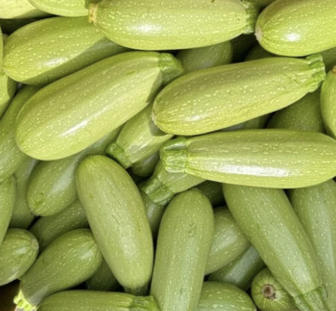 Summer Squash