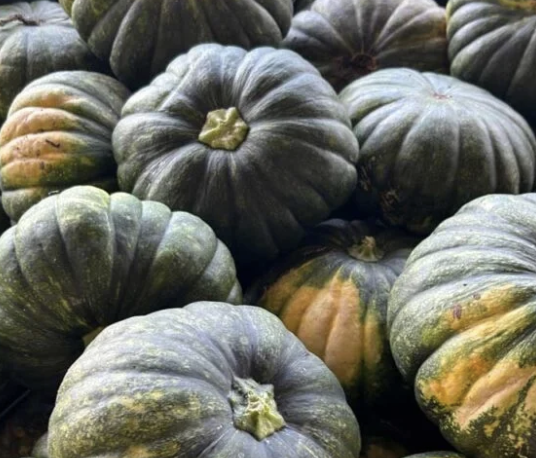 Kabocha Squash